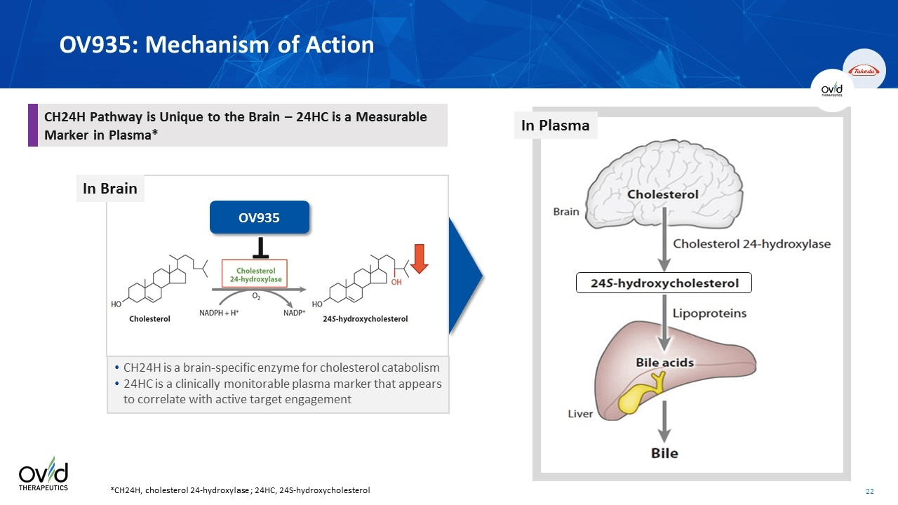 Ovid Therapeutics anuncia datos iniciales positivos del estudio ENDYMION