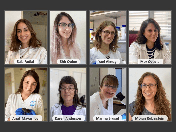 Moran Rubinstein lab