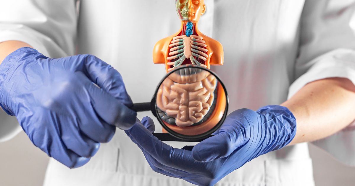 Problemas gastrointestinales y alimentarios