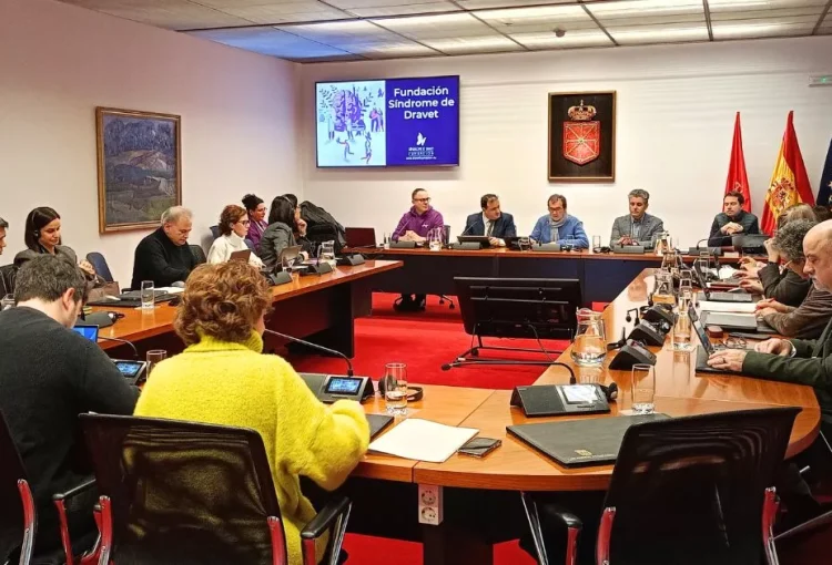 Sesión de Trabajo Síndrome de Dravet Parlamento de Navarra