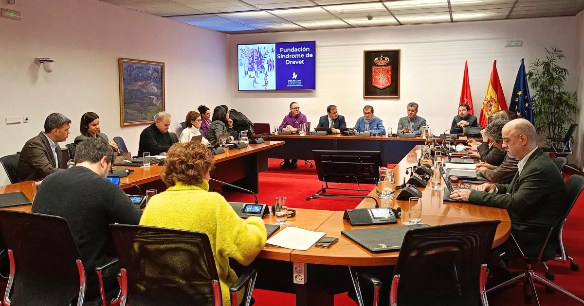Sesión de Trabajo Síndrome de Dravet Parlamento de Navarra